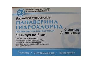 ПАПАВЕРИНА ГИДРОХЛОРИД р-р д/ин. 20 мг/мл амп. 2 мл №10
